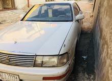 بطة لؤلؤي بيع او مراوس وانطي فرق بطة لؤلؤي بيع او مراوس وانطي فرق