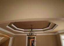painting Professional workers internal nd external work painting Professional workers internal nd external work