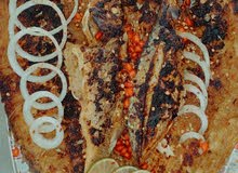 ابحث عن شيف او مساعد شيف ( see food ) ابحث عن شيف او مساعد شيف ( see food )