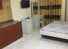 استديو مفروش للايجار الشهري في عجمان الروضه 2300 مع بلكون شامل مع نت استديو مفروش للايجار الشهري في عجمان الروضه 2300 مع بلكون شامل مع نت