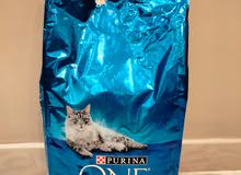 Dry food for cat