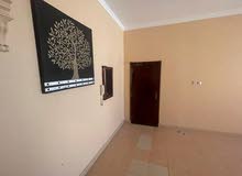 fully furnished 1 bed room