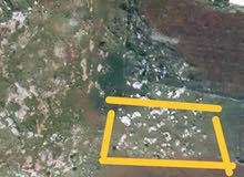 Mixed Use Land for Sale in Tubas Salhab