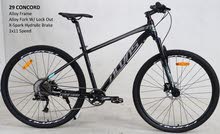 Size 29 
Alloy frame 
Alloy fork w lock out
X-spark hydrulic brake
1x10speed 
Si