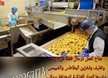 تعيين فورى فى نفس يوم التقديم فى مصنع بطاطس تعيين فورى فى نفس يوم التقديم فى مصنع بطاطس
