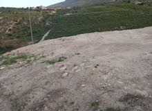 Residential Land for Sale in Nablus Al-Bathan