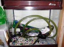 aquarium with external filter for sweet or salt water aquarium with external filter for sweet or salt water