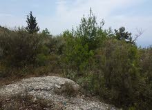 LAND for RENT At FATQA KESERWAN LAND for RENT At FATQA KESERWAN