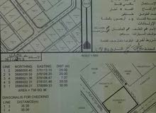 ارض في البريمي الخضراء الجديدة ارض في البريمي الخضراء الجديدة