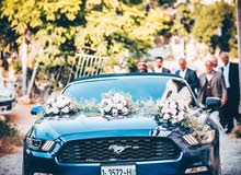 Ford mustangفورد موستينج Ford mustangفورد موستينج