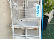 cage for birds / قفص طيور cage for birds / قفص طيور