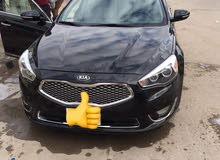 كادينزا فوول sxl كادينزا فوول sxl