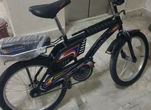 دراجه رانبو مقاس 20 جديد ركبتها قبل اسبوع والسوم وصل 230 دراجه رانبو مقاس 20 جديد ركبتها قبل اسبوع والسوم وصل 230