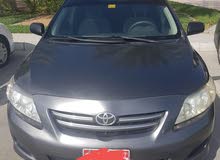 Toyota Corolla 2010 model Toyota Corolla 2010 model