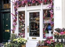 Wanted woman arranging roses and gifts Wanted woman arranging roses and gifts