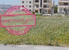 Residential Land for Sale in Amman Al Yadudah