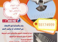 طارد الحمام والطيور قطر طارد الحمام والطيور قطر