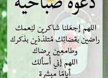 برتشن حولي خلف المحاميد برتشن حولي خلف المحاميد