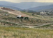 Mixed Use Land for Sale in Jerash Unaybah