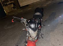 Benelli Other 2019 in Alexandria