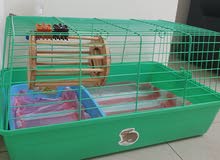 rabbit cage +more accessories for sale rabbit cage +more accessories for sale