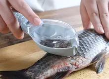 Need Fish Cutter Need Fish Cutter