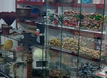 محل شكلاطة ومكسرات ساخنة محل شكلاطة ومكسرات ساخنة
