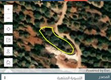 ارض استثماريه موقع ممتاز سلفيت