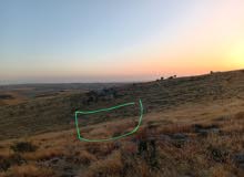 Mixed Use Land for Sale in Hebron Dura