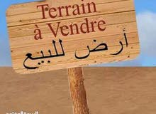 عقارات للبيع عقارات للبيع