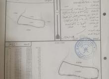 مزرعه للبيع قابل للتفاوض مزرعه للبيع قابل للتفاوض