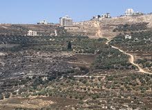 Mixed Use Land for Sale in Nablus Tal Village