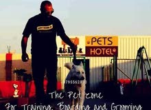 pets hotel pets hotel