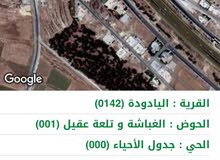 ارض طريق المطار الغباشية وتلعة عقيل . ارض طريق المطار الغباشية وتلعة عقيل .