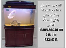 حوض سمك حوض سمك