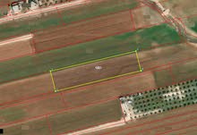 Farm Land for Sale in Irbid Huwwarah