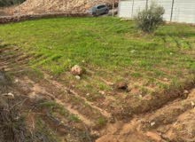 Mixed Use Land for Sale in Qalqilya Kafr Laqif