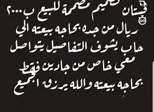 فستان تصمميم مصممة للبيع ب2000 ريال للتفاصيل تواصل خاص فستان تصمميم مصممة للبيع ب2000 ريال للتفاصيل تواصل خاص