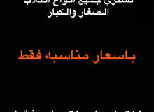 مطلوب جميع انواع الكلاب باسعار مناسبه مطلوب جميع انواع الكلاب باسعار مناسبه