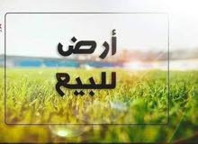 ارض للبيع في السراج خلف صاله الرويال موقع ممتاز ارض للبيع في السراج خلف صاله الرويال موقع ممتاز