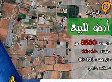 رقم الاعلان (4091) ارض زراعية للبيع في منطقة الخضراء