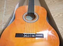 guitar professional guitar professional
