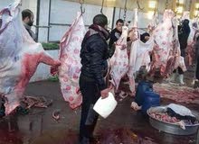 جزارة الحوت لجميع انواع اللحوم البلدي جزارة الحوت لجميع انواع اللحوم البلدي