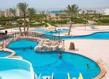 شاليه للايجار بجولدن بيتش 2 شاليه للايجار بجولدن بيتش 2