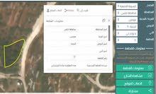 Farm Land for Sale in Nablus Qusin
