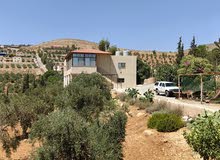 4 Bedrooms Farms for Sale in Jerash Dahl