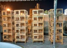 اقفاص بغبغاء اقفاص بغبغاء