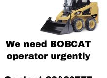 Vacancy for bobcat operator Vacancy for bobcat operator