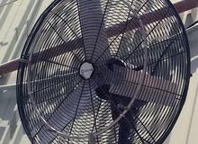 Wall mounted misting fan
