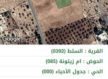 ارض للبيع في منطقة ام زيتونه السلط ارض للبيع في منطقة ام زيتونه السلط